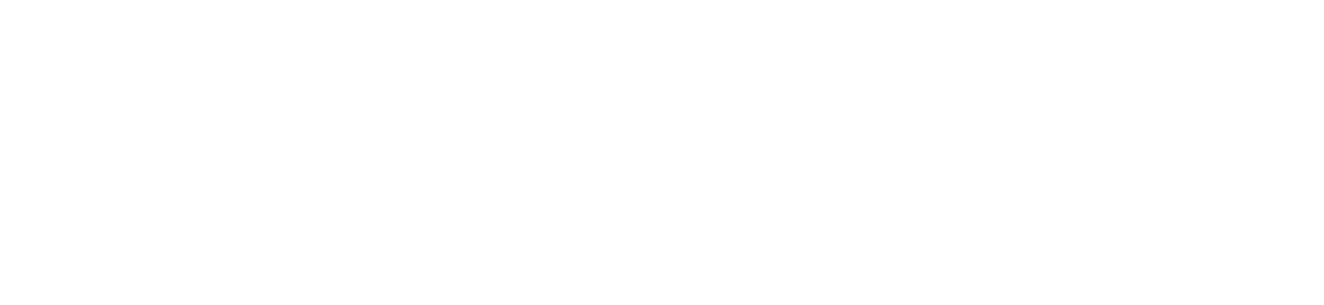 Security Brands